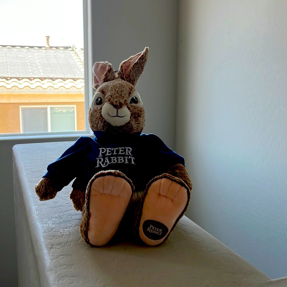 Peter Rabbit - Picture 1 of 1